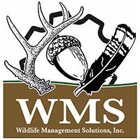 WMS